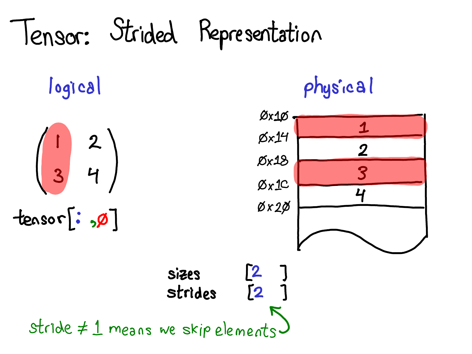 Non-contiguous tensor view via strides