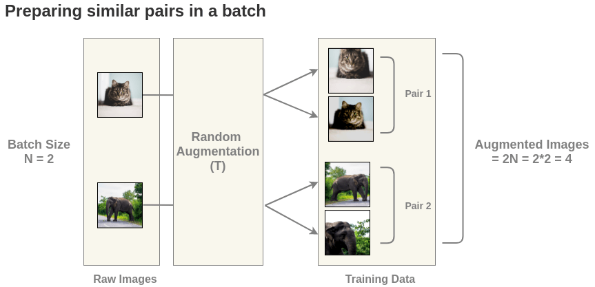 SimCLR batch data preparation
