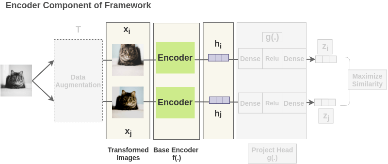 SimCLR encoder