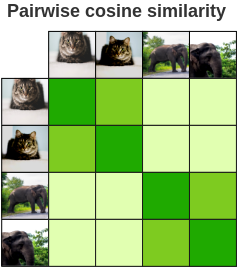 SimCLR pairwise similarity matrix