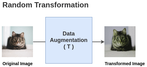 SimCLR augmentation pipeline
