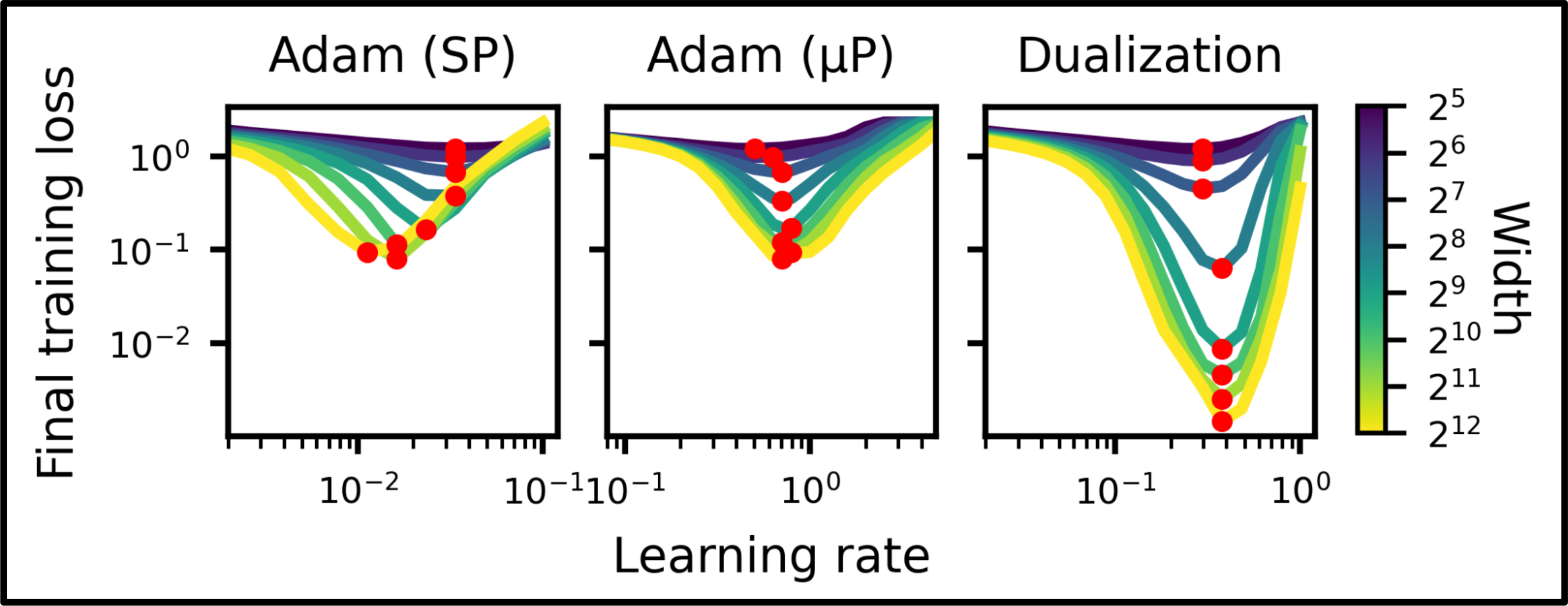 Dualized vs. conventional training on CIFAR across model widths (Bernstein, 2025)